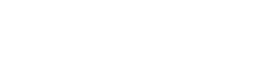 Brisa Logo